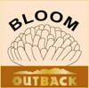 Outback Steakhouse Pin